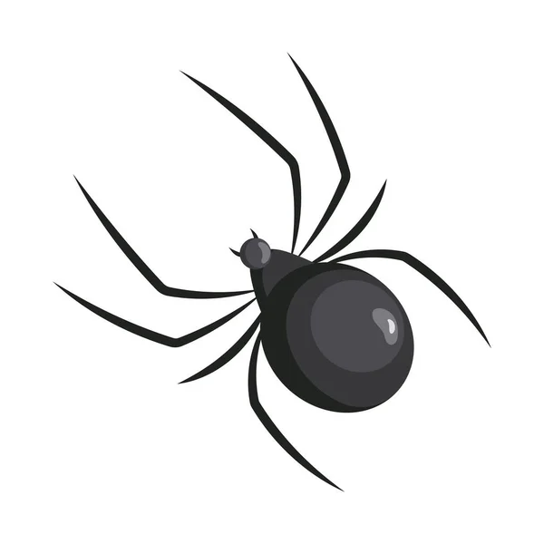Beyaz Arka Planda Bir Örümcek Böcekler Resim Simge Vektör — Stok Vektör