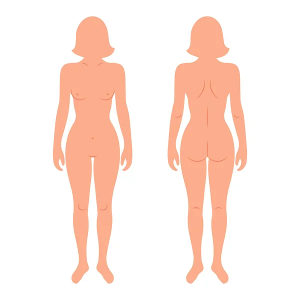 Silhouettes Arrière Avant Corps Humain Féminin Anatomie Concept Médical Scientifique — Image vectorielle