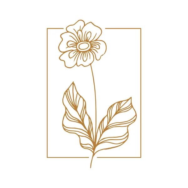 Линейный Эскиз Логотипа Полевого Цветка Цветочный Венок Дизайн Эмблемы Свадьбы — стоковый вектор