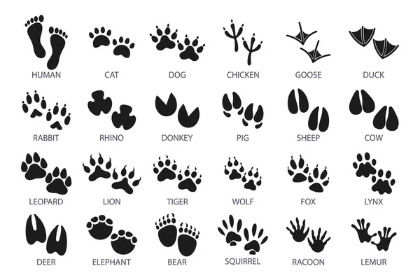 Big Set Footprints Domestic Wild Animals Icons Sketch Vector — Stock Vector