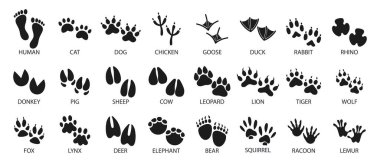 Evcil ve vahşi hayvanların büyük ayak izleri. Simgeler, çizimler, vektörler