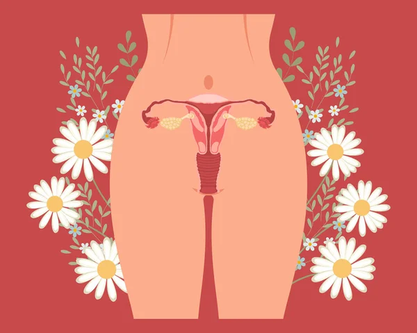 Menstruační Perioda Šablona Stránky Přistání Ženské Tělo Ženské Třísla Květinami — Stockový vektor