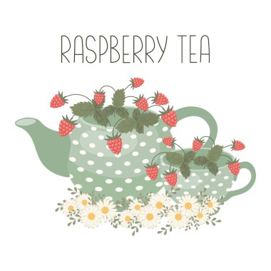 Ahududu çayı, sağlıklı içecek. Çaydanlık ve fincanla ahududu çayı ve papatya çiçeği. Görüntü, vektör