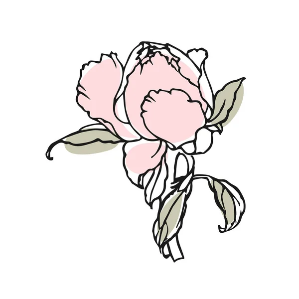 Rose Bourgeon Dessiné Main Dessin Contour Avec Des Taches Abstraites — Image vectorielle