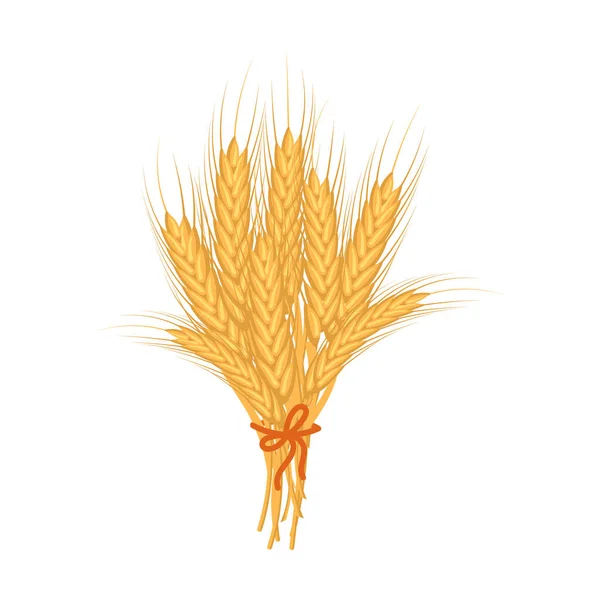 Buğday Buketi Buketi Tarım Simgesi Tasarım Ögesi Vektör — Stok Vektör