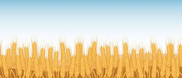 Колючки Пшеницы Пшеничное Поле Против Неба Сельское Хозяйство Бесшовная Горизонтальная — стоковый вектор
