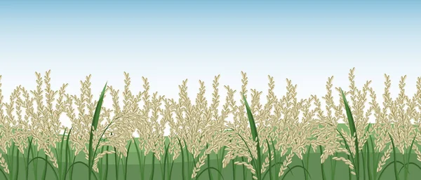 Spikelets Rice Rice Field Sky Seamless Horizontal Border Vector — Stock Vector