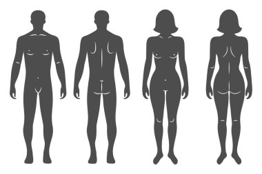 Erkek ve kadın bedeninin siluetleri, ön ve arka görüntüler. Anatomi. Tıbbi ve konsept. Görüntü, vektör