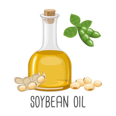 Soya yağı, tohum, kabuk ve soya fasulyesi. Şişedeki soya tohumu yağı. Yiyecekler. Görüntü, vektör