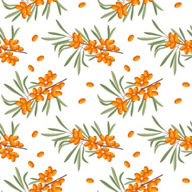 Kusursuz desenler, deniz dikenli dallar ve beyaz arka planda deniz dikenli üzümler. Yazdırma, arkaplan, vektör