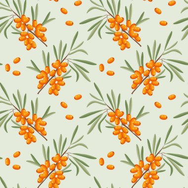 Kusursuz desenler, deniz dikenli dallar ve hafif arka planda deniz dikenli üzümler. Yazdırma, arkaplan, vektör