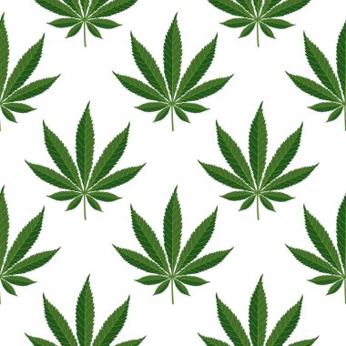 Kenevir yapraklarının kusursuz deseni. Beyaz arka planda kenevir yapraklarının arka planı. Yazdır, vektör
