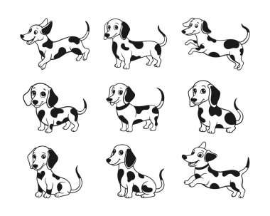 Bir dizi şirin çizgi film dachshund köpeği. Beyaz arka planda Dalmaçyalı köpekler. Vektör illüstrasyonu.