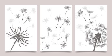 Kart seti, içinde karahindiba olan posterler. Kara hindiba tohumları rüzgarda uçuşuyor. Doğa kartları koleksiyonu. Vektör