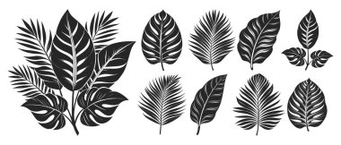 Tropikal yaprak ve buket siluetleri. Yaz kapağı şablonu. Öge koleksiyonu dizayn et