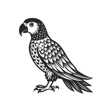 Tropik papağan kuşu. Beyaz arka planda siyah bir siluet. İşleme, dövme. Görüntü