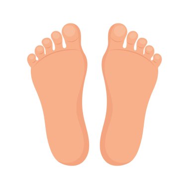 Beyaz arka planda insan ayağı, insan tabanı anatomisi. Ayak izi çizimi, insan ayak izi sembolü