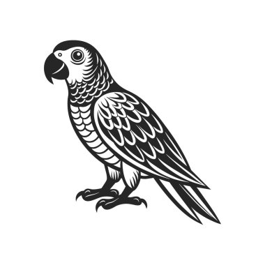 Tropik papağan kuşu. Beyaz arka planda siyah bir siluet. İşleme, dövme. Görüntü