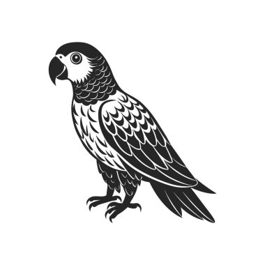 Tropik papağan kuşu. Beyaz arka planda siyah bir siluet. İşleme, dövme. Görüntü