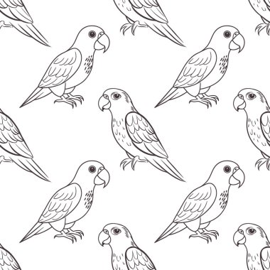 Kusursuz desen, beyaz arka planda tropikal papağanların doğrusal çizimleri. Tatlı papağan kuşları. Tekstil, arkaplan, baskı için tasarım