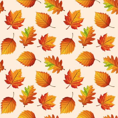 Renkli sonbahar yapraklarının kusursuz deseni. Sonbahar yaprakları beyaz arka planda düşer. Resim, baskı, tekstil