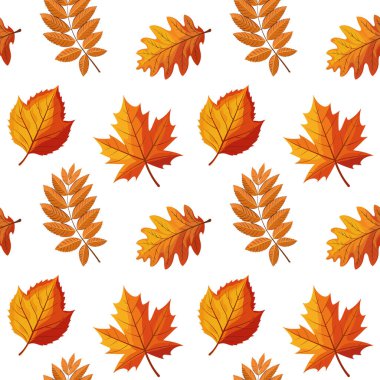 Renkli sonbahar yapraklarının kusursuz deseni. Sonbahar yaprakları arka planda. Resim, baskı, tekstil