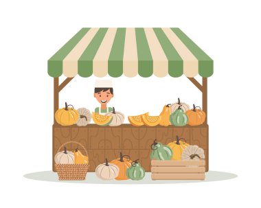 Taze balkabaklarıyla bir tezgahta satıcı. Farklı balkabakları ve balkabağı parçalarıyla ahşap market tezgahı. Sonbahar hasat illüstrasyonu