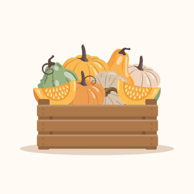 Balkabağı dolu tahta bir kutunun tasviri. Sonbahar dekorasyonu, balkabağı kompozisyonu. Sonbahar hasat kartpostalı