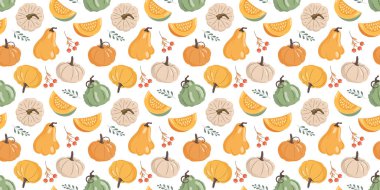 Balkabağı ve balkabağı parçalarıyla kusursuz desen. Şükran Günü arka planı, sonbahar hasat illüstrasyonu