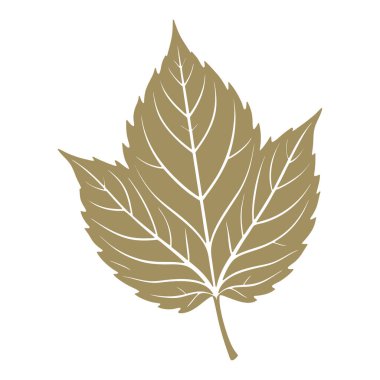 Beyaz arka planda üzüm yaprağı silueti. Sonbahar tasarım elementi. Düz biçim illüstrasyonu