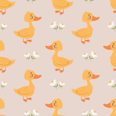 Beyaz arka planda sevimli ördek yavruları ve papatyaları olan kusursuz bir desen. Bebek kıyafetleri için arka plan. Yazdır