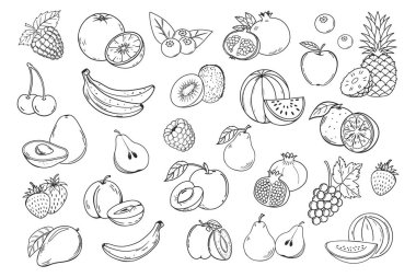 Meyve ve meyve ikonları dizildi. Restoran menüsü ve market etiketi için el yapımı çiftlik ürünleri koleksiyonu. Mango, yabanmersini, ananas, elma vs.