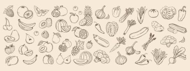 Sebzeler ve meyveler. Restoran menüsü ve market etiketi için el yapımı tarım ürünleri koleksiyonu. Retro biçim illüstrasyon çizimi