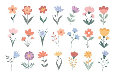 Bir çift güzel el, yabani çiçekler çizmiş. Çiçekli elementlerin güzel bir koleksiyonu. Düz Çizim