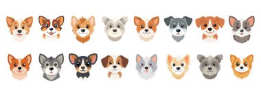 Sevimli köpek suratları koleksiyonu. Tasarım ve çizimler için elementler. Şirin köpekler..