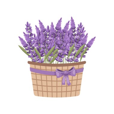 Mor kurdeleli bir sepet lavanta çiçeği. Düğün davetiyesi için resim, tebrik kartı, logo.