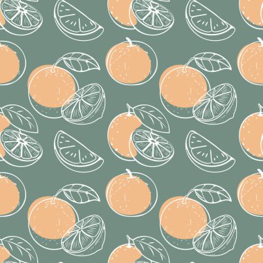 Portakallar ve yaprakları pürüzsüz. Yeşil arka planda elle çizilmiş narenciye. Görüntü.