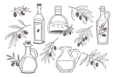 Zeytin yağı şişeleri ve zeytin dalları. Zeytin yağı, yaprak, dal ve doğal ürün örneklerinin toplanması. El çizimi çizimi çizimi.