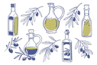 Zeytin yağı şişeleri ve zeytin dalları. Zeytin yağı, yaprak, dal ve doğal ürün örneklerinin toplanması. El çizimi çizimi çizimi.