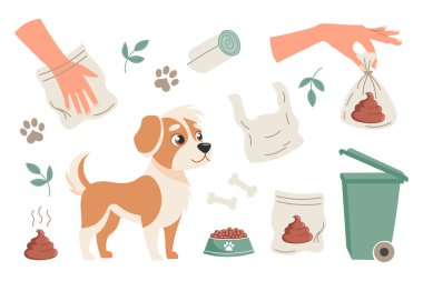 Köpek konsepti setinden sonra ortalığı temizle. Hayvan bakımı, çevresel farkındalık ve atık imhası. Sosyal işaretler ve evcil hayvan ürünleri için resim.