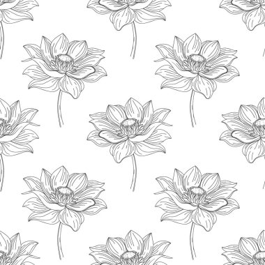 Beyaz arka planda nilüfer çiçekleri olan kusursuz bir desen. Çiçek arkaplan. Tek renkli botanik baskı, duvar kağıdı.