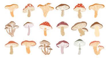 Mantar seti. Eğitici ya da dekoratif amaçlar için el yapımı mantar koleksiyonu. Görüntü.