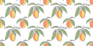Beyaz arka planda mangolu kusursuz desen. Mango meyveleriyle kusursuz tekrarlanan desen. Görüntü.