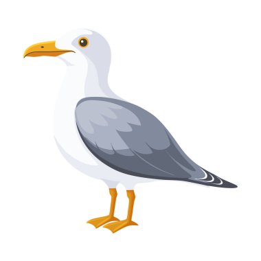 Martı kuşu. Kıyı martı kuşu beyaz arka planda izole edilmiş. Hayvanlar. Görüntü.