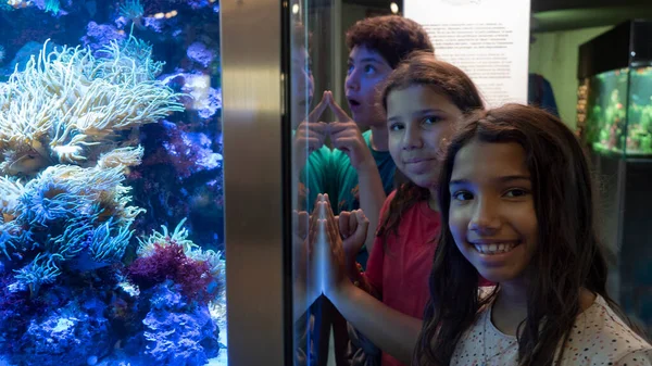3 children lined up next to a big fish tank with fish and algae, purple light from the tank, one boy looking at the fish and the girls looking at the camera.
