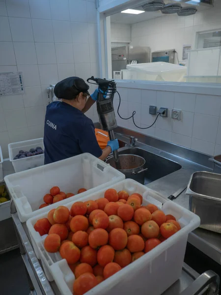 cold food processing room, there is a woman working in a work uniform and hair cap, she is using an industrial mixer to grind a pot full of tomatoes, she has her back turned and around her are buckets full of tomatoes. on the worktop are metal contai