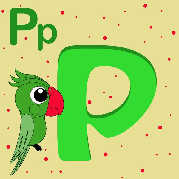 Parrotアルファベット文字P Abc カラフルな動物英語アルファベット文字P Parrot 子供の本 就学前の知識緑の文字で緑のオウム — ストック写真