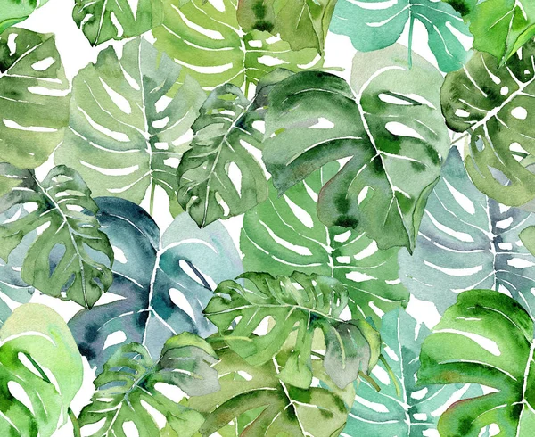 Állítsa Akvarell Zökkenőmentes Trópusi Növények Levelek Friss Nyári Minta Egész — Stock Fotó