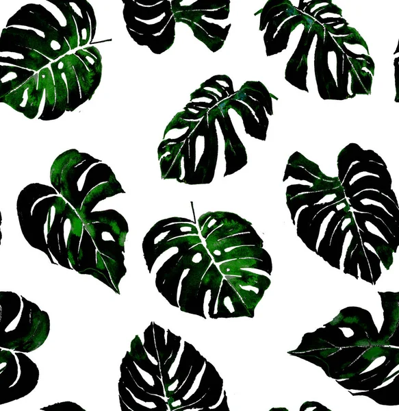 Sada Akvarelových Bezešvých Tropických Listů Rostlin Nový Svěží Letní Model — Stock fotografie