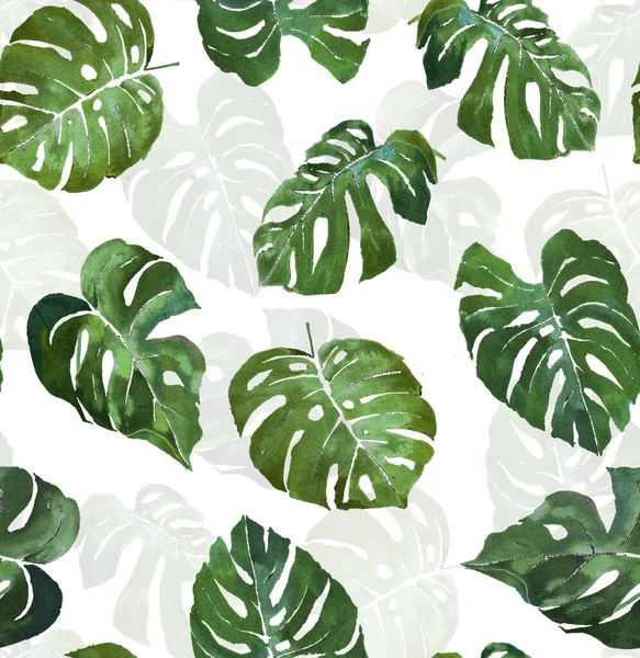Sada Akvarelových Bezešvých Tropických Listů Rostlin Nový Svěží Letní Model — Stock fotografie